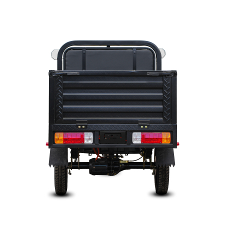 Грузовой электротрицикл SIBTRIKE CARGO (2025)